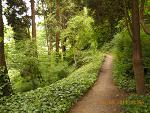 Duniway Lilac Garden: Short walk from the Apartment
