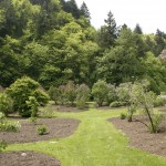 Duniway Lilac Garden: Lush Landscaping