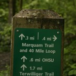 Marquam Nature Park: Plenty of Hiking Trails